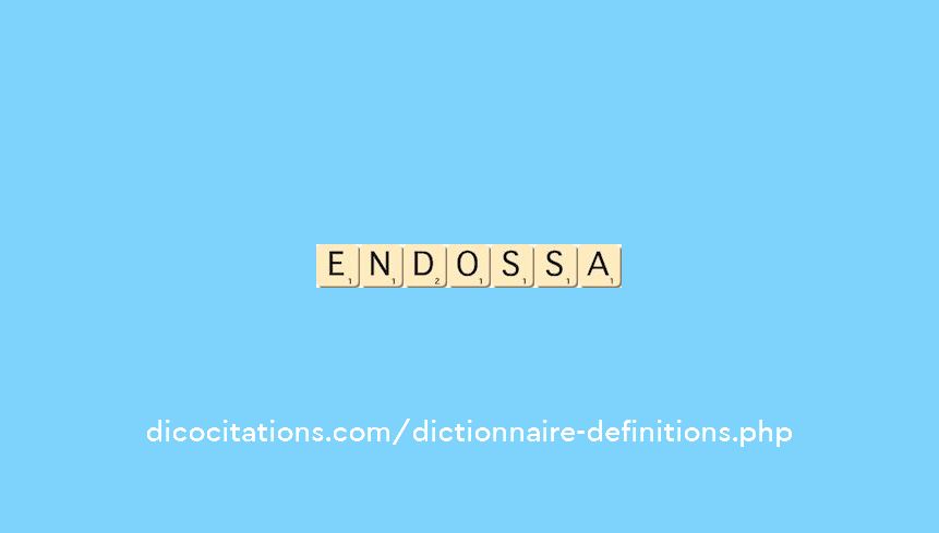 endossa endossa