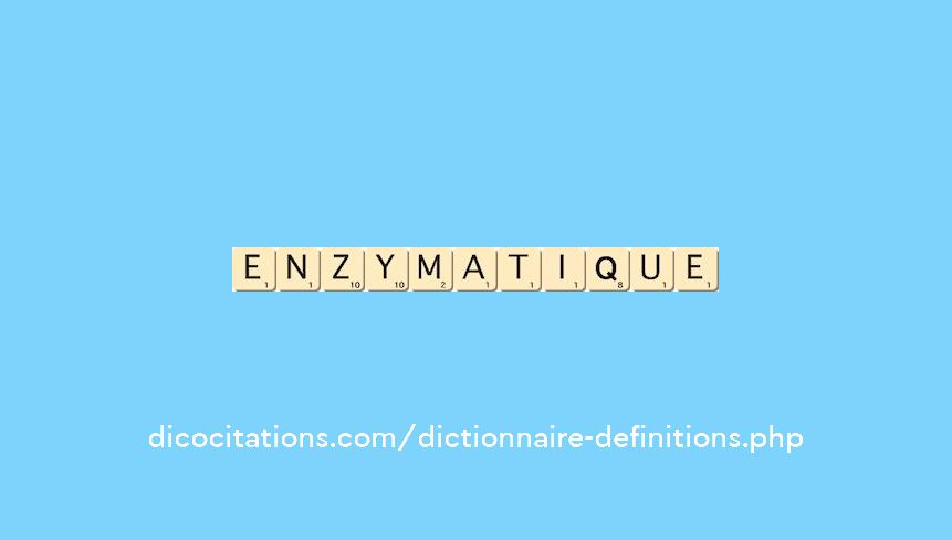 enzymatique enzymatique