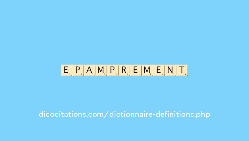 epamprement