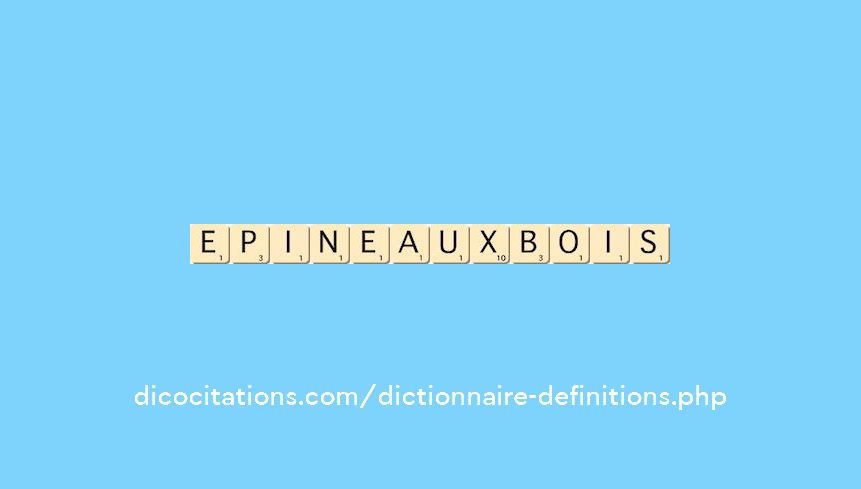 epine-aux-bois