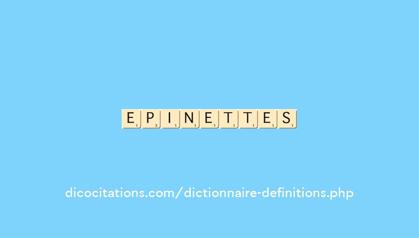 epinettes epinettes