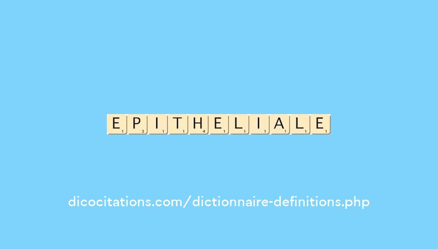 epitheliale epitheliale