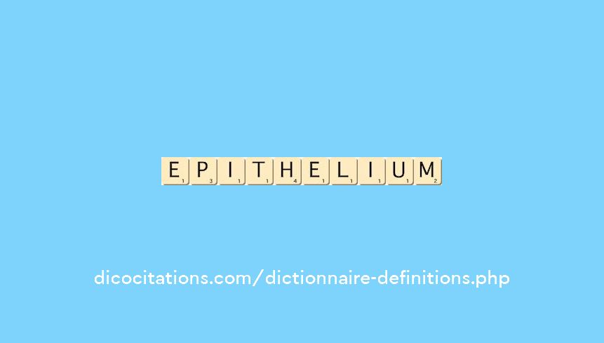 epithelium epithelium