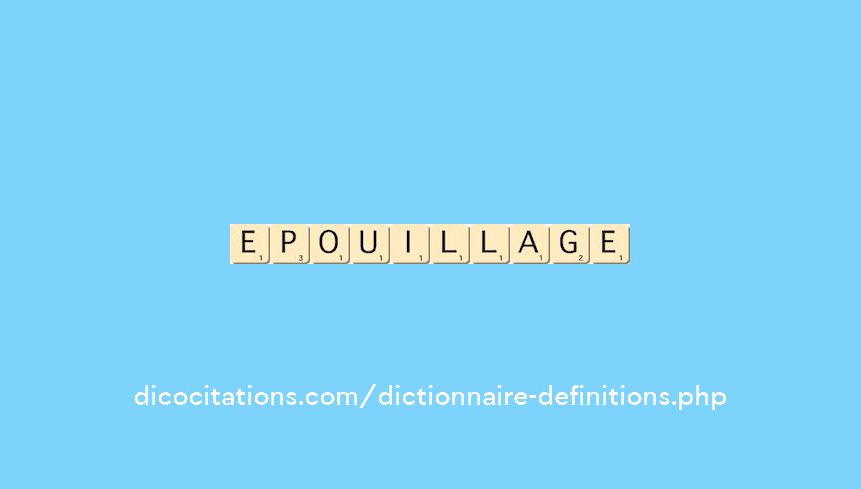 epouillage