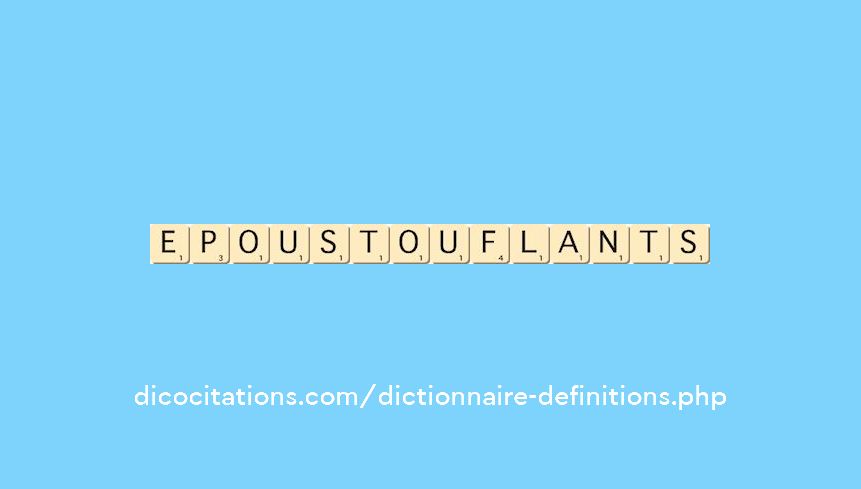 epoustouflants epoustouflants