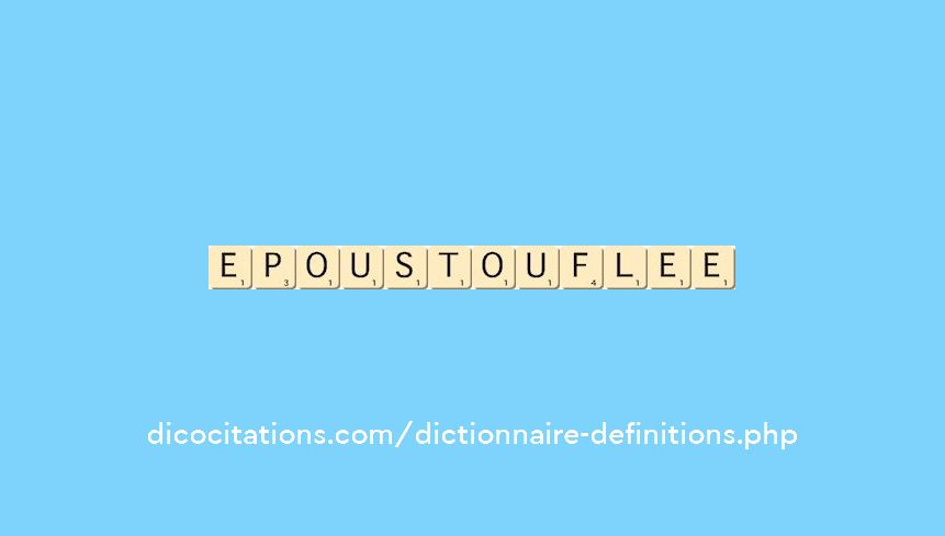 epoustouflee epoustouflee