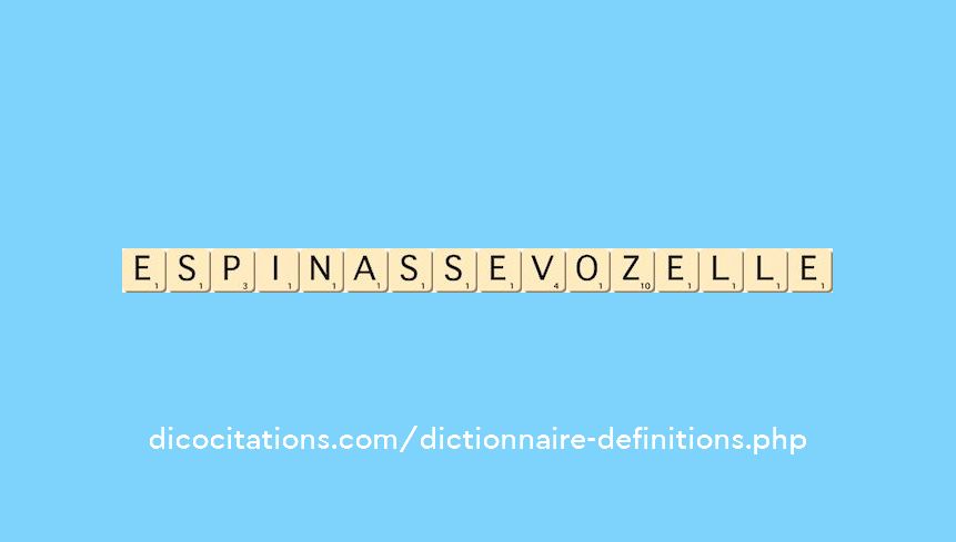 espinasse-vozelle