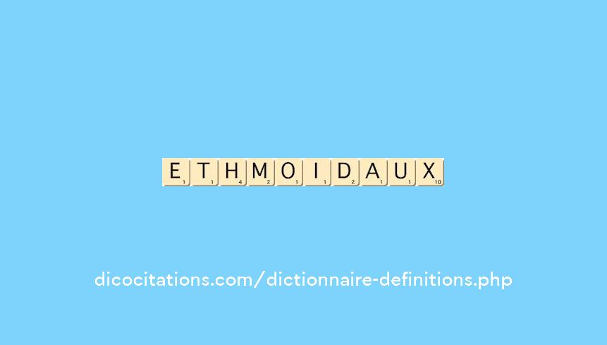 ethmoidaux ethmoidaux