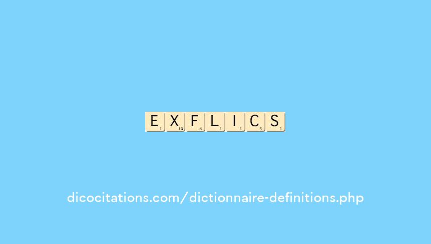 ex-flics ex-flics
