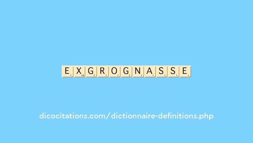 ex-grognasse ex-grognasse