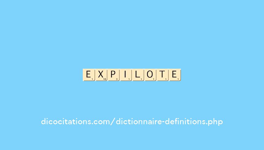 ex-pilote ex-pilote