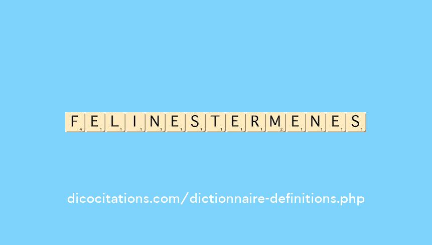 felines-termenes