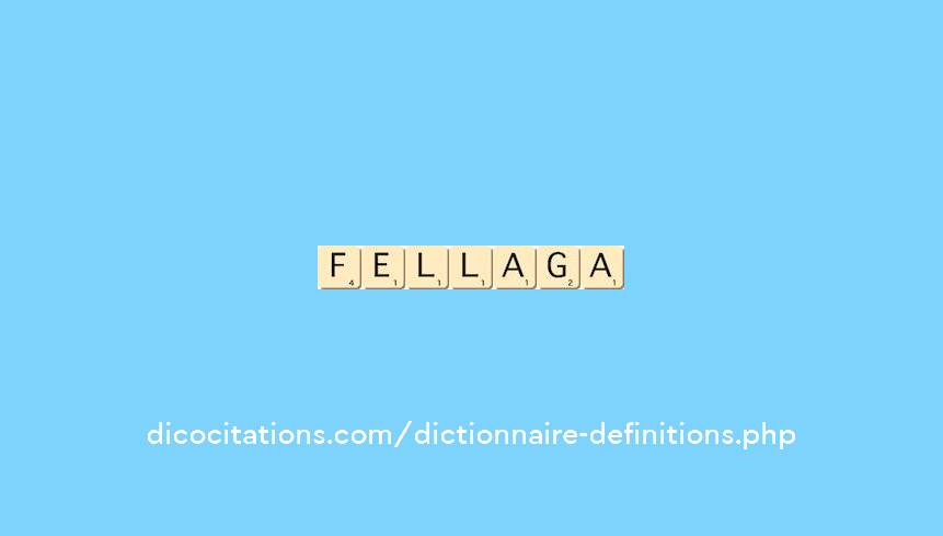 fellaga
