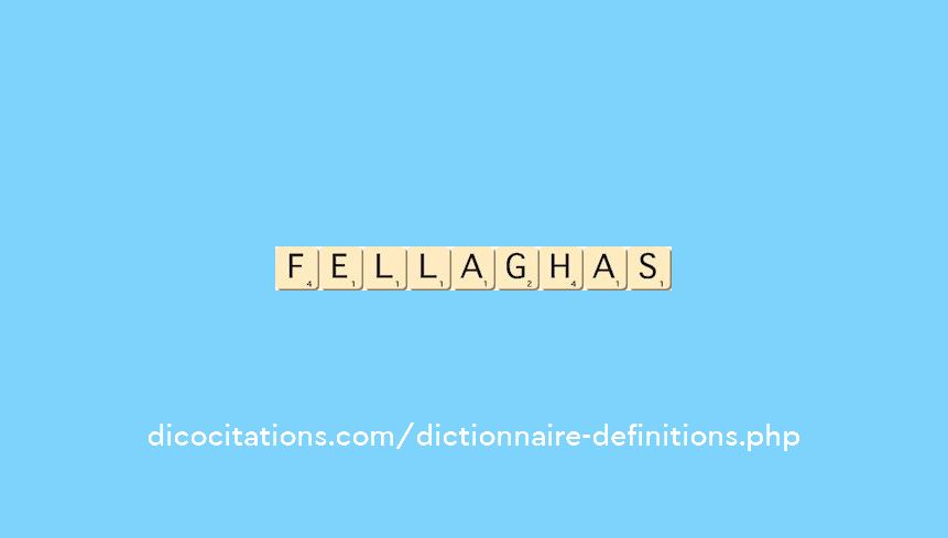 fellaghas