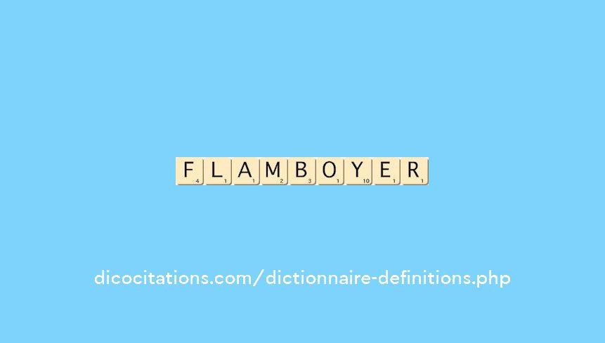 flamboyer flamboyer
