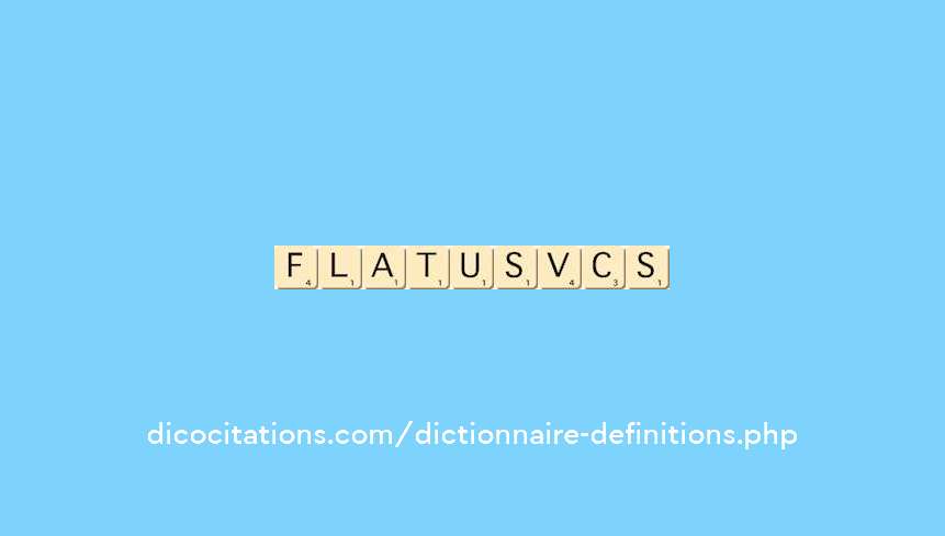 flatus-vocis flatus-vocis