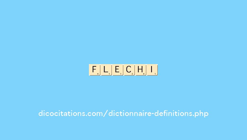 flechi flechi