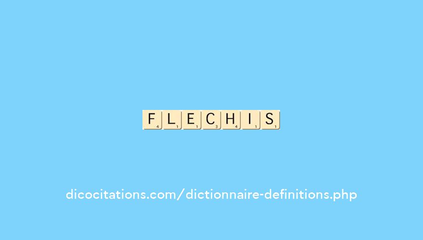 flechis flechis