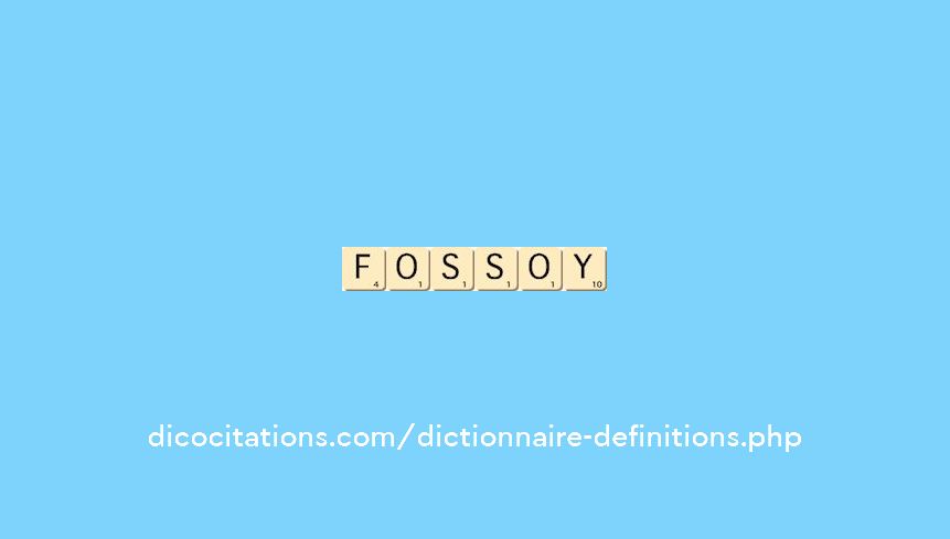 fossoy fossoy
