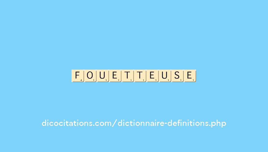 fouetteuse fouetteuse