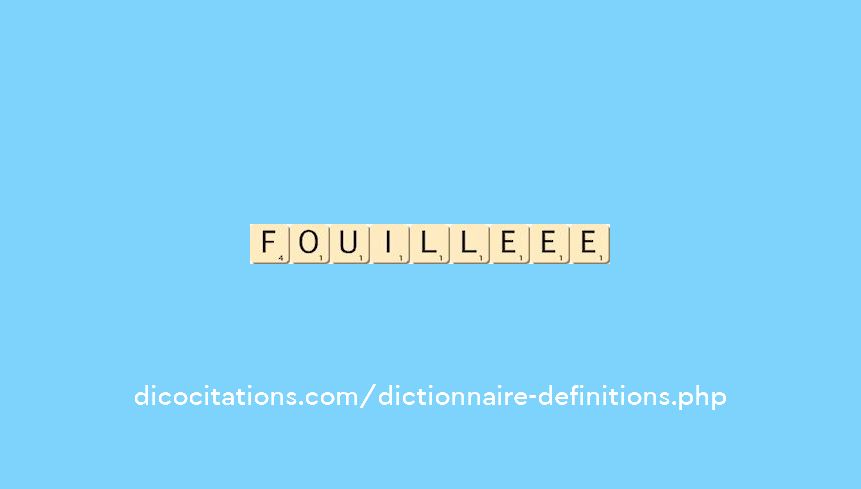 fouille--ee