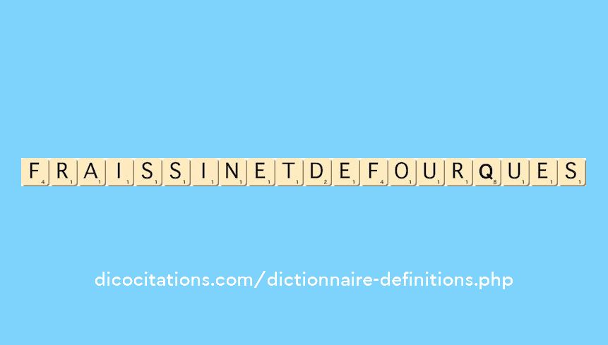 fraissinet-de-fourques