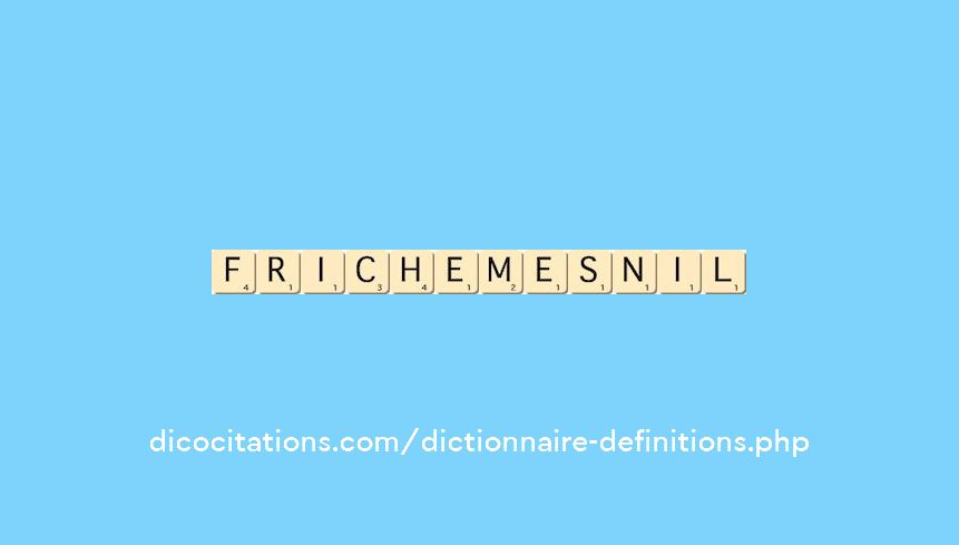 frichemesnil frichemesnil