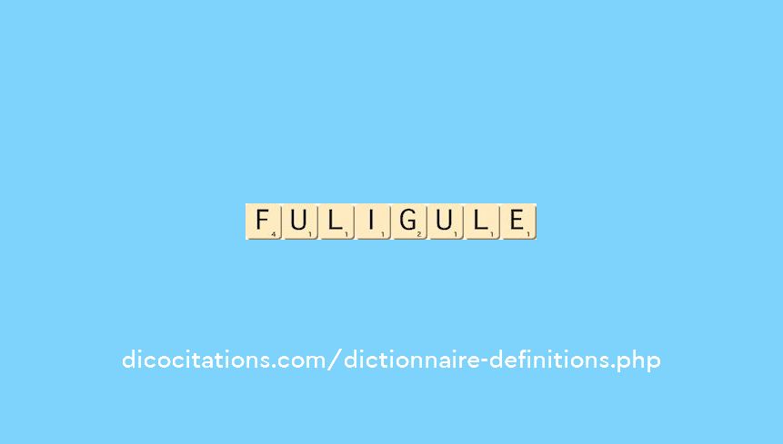 fuligule fuligule