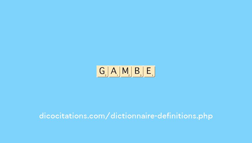 gambe
