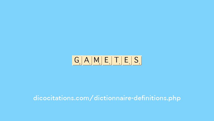 gametes gametes