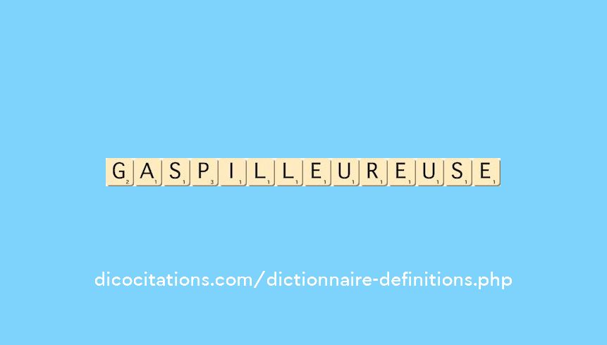gaspilleur--euse