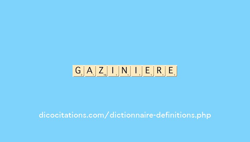 gaziniere gaziniere