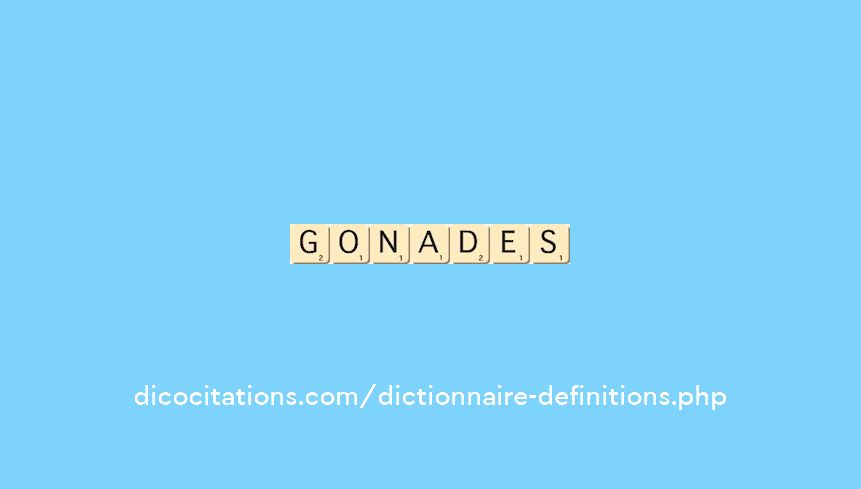 gonades gonades