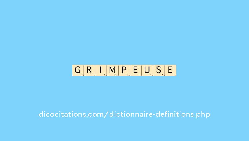 grimpeuse grimpeuse