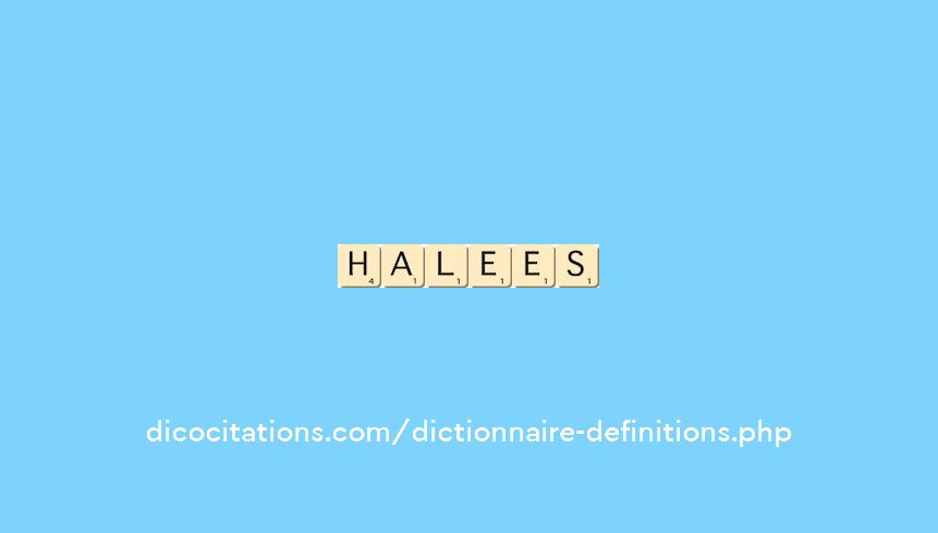 halees halees