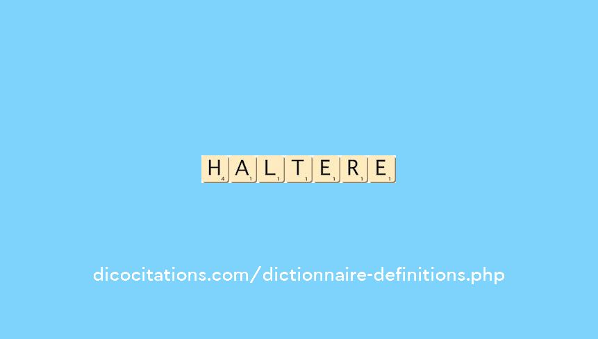haltere haltere