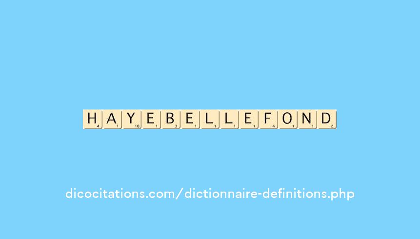 haye-bellefond