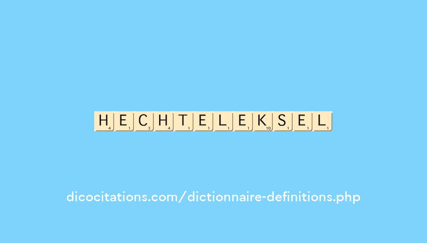 hechtel-eksel hechtel-eksel