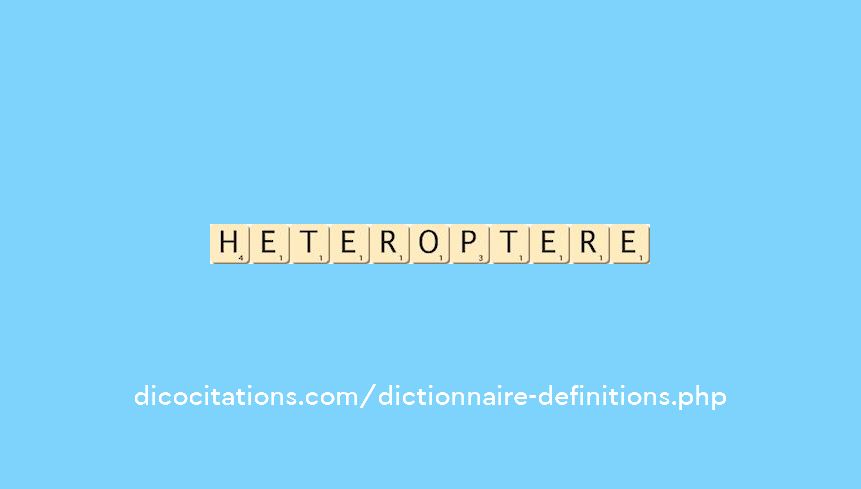 heteroptere heteroptere