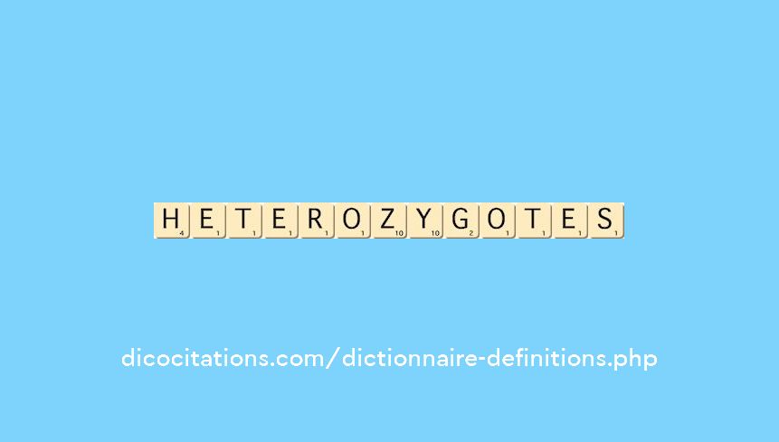 heterozygotes heterozygotes