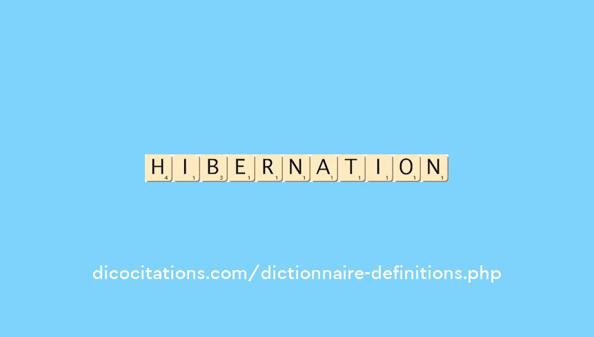 hibernation hibernation