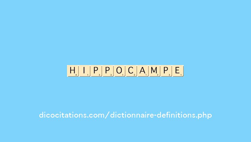 hippocampe hippocampe