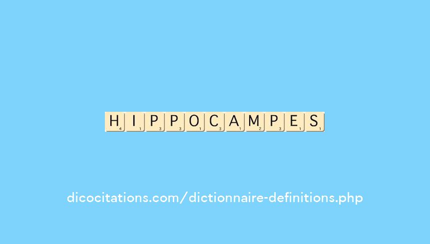 hippocampes hippocampes