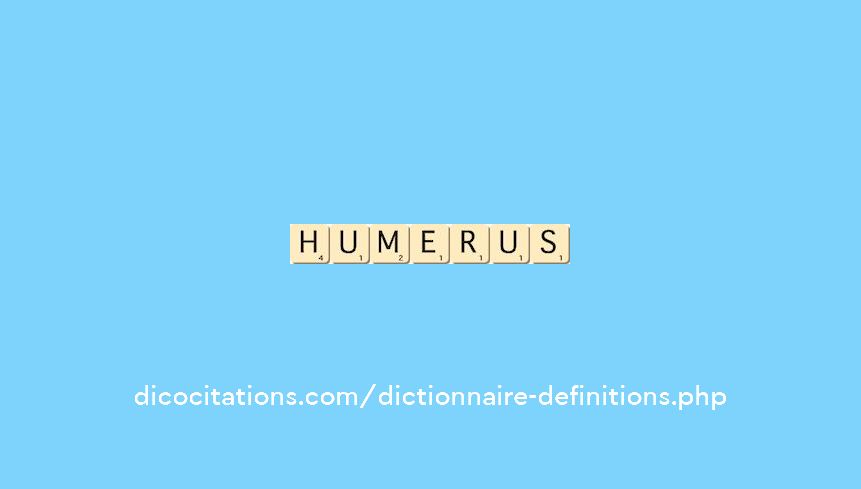 humerus
