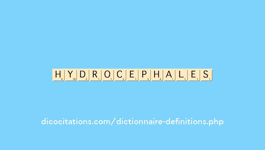 hydrocephales hydrocephales