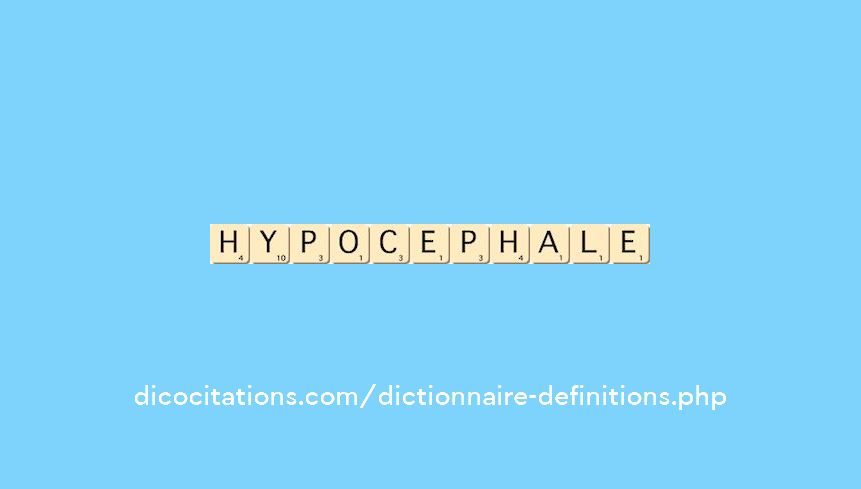 hypocephale