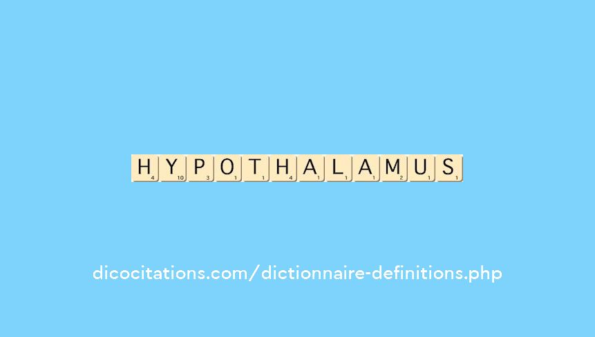 hypothalamus