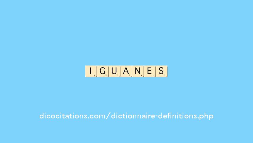 iguanes iguanes