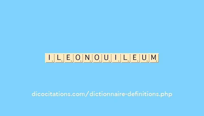 ileon-ou-ileum