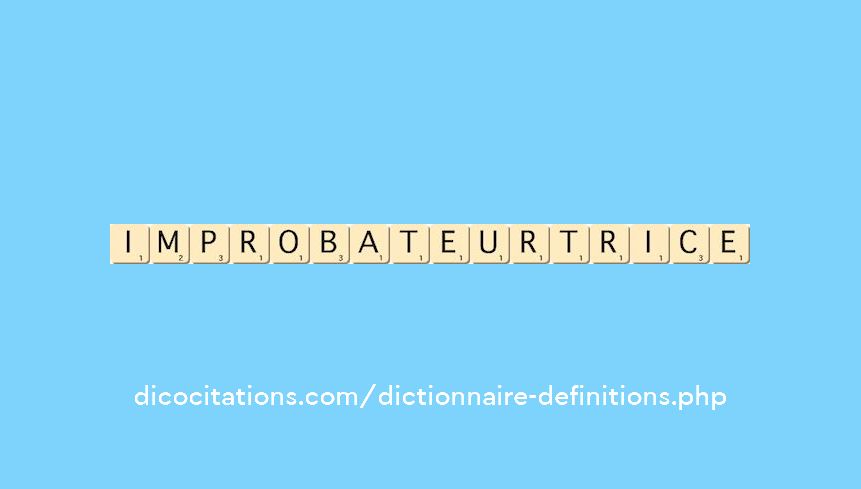 improbateur--trice
